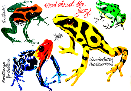 Linda Bruce: Mad about the Frogs, 2023